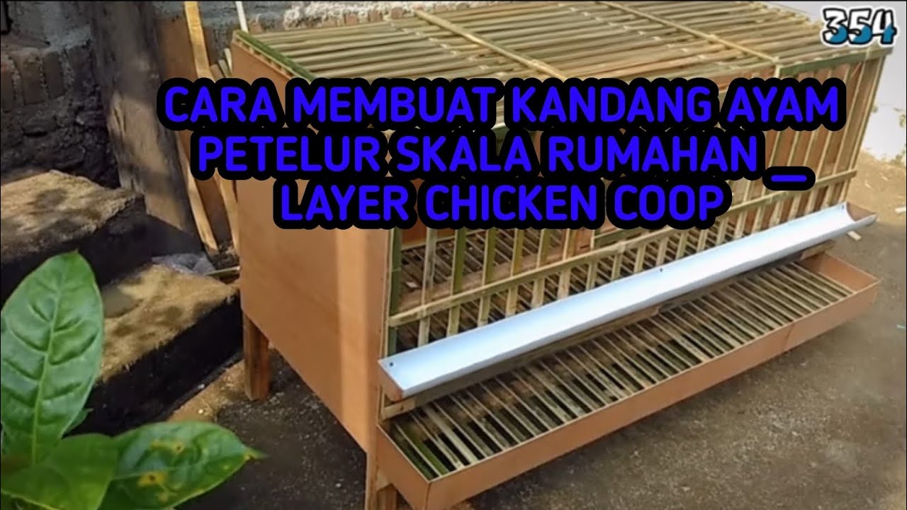 CARA MEMBUAT KANDANG AYAM PETELUR SKALA RUMAHAN _ LAYER CHICKEN COOP
