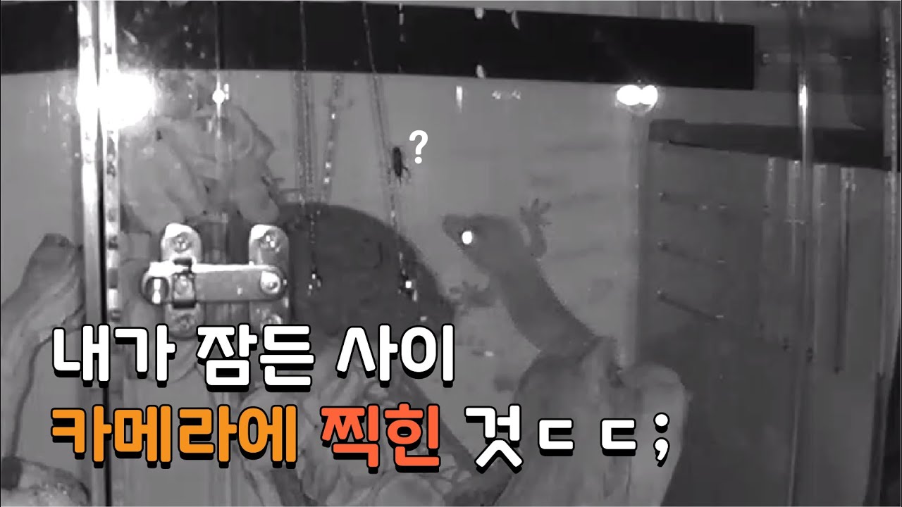 내가 자는 동안 카메라에 찍힌 것...ㄷㄷ개소름