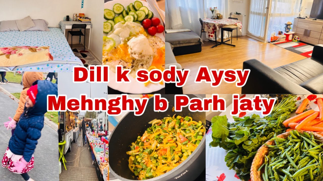 pass hoty cheez ki qader nhi hoti na| Pakistani mom life in France | weekly meal ideas
