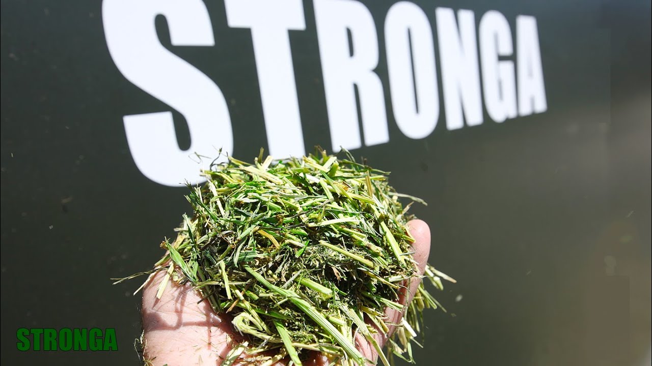 Die Trocknung von Futter mit Stronga - Wertvolles Tierfutter erstellen