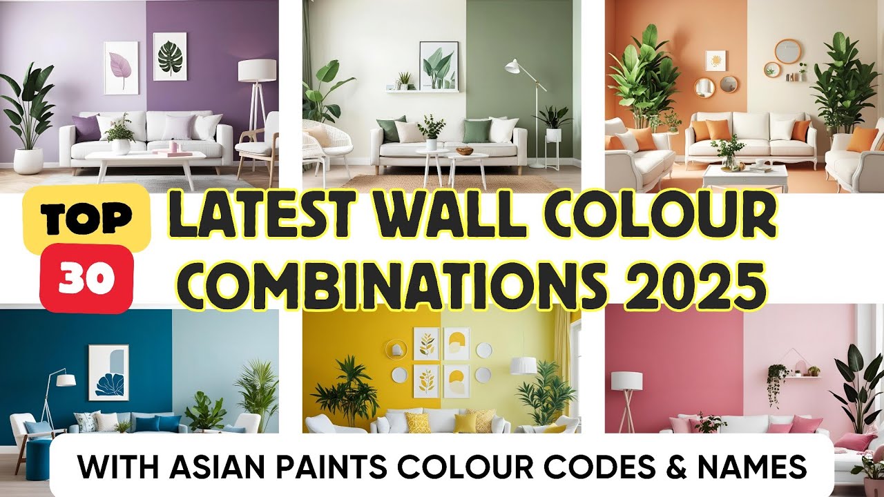 Best Wall Colour Combination for Living Room|Asian Paints Colour Combination|Wall Colour Combination