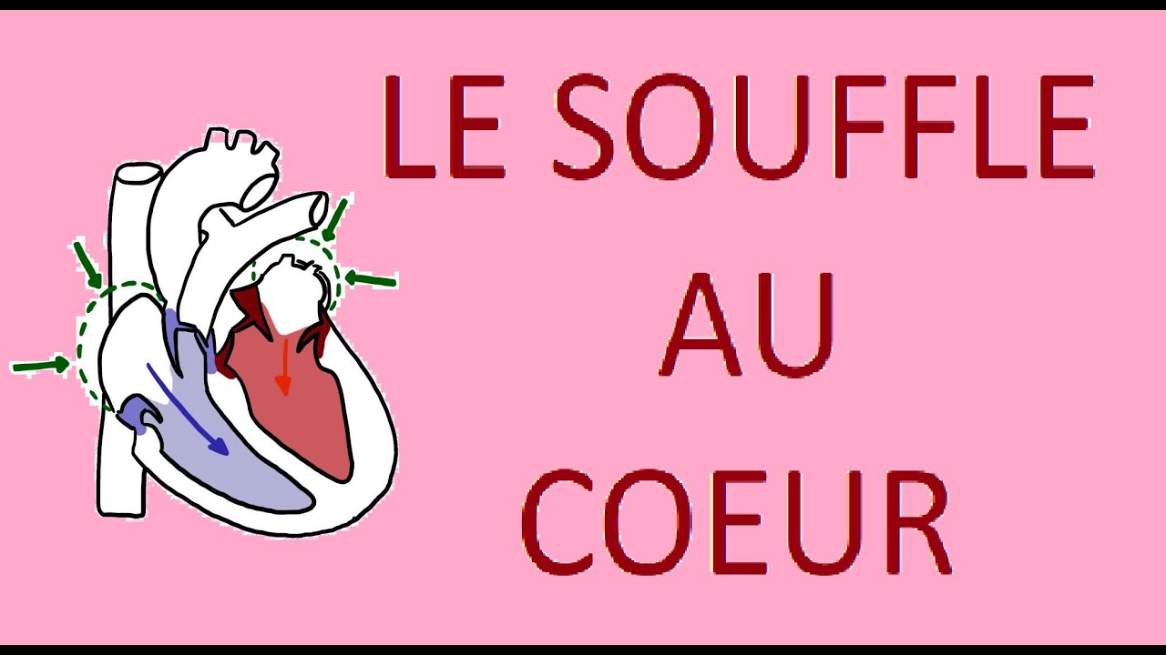 [Gnocky] LE SOUFFLE AU COEUR - CHIENS et CHATS