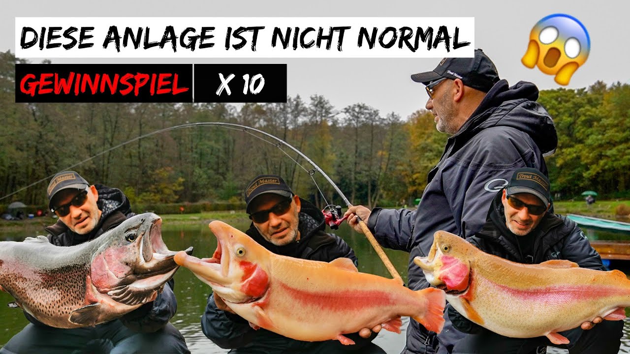 Wahnsinn 😱 Forellenangeln von Feinsten + GEWINNSPIEL 🎁 Biss auf Biss und nur XXL Forellen