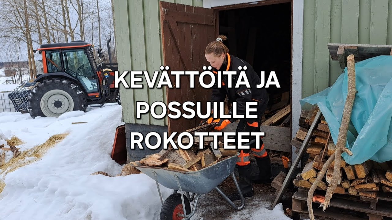 Kevättöitä ja possuille rokotteet