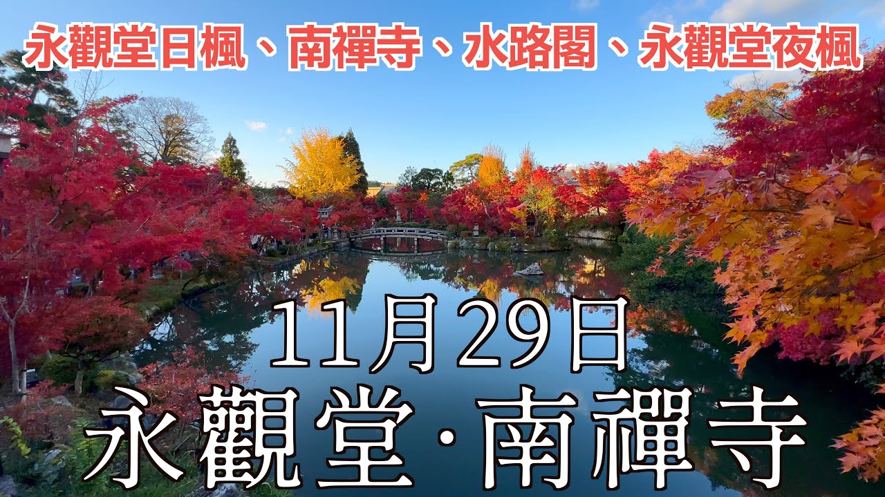 2024 京都楓葉快報 I 11/29 永觀堂楓紅盛開 放生池周圍全紅、剩下的約5～7成 12月初會最漂亮 I 南禪寺全區楓葉全紅 現在正漂亮 I 京都夜楓之王 - 永觀堂夜楓