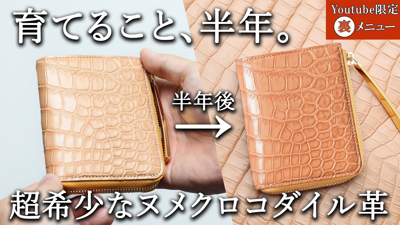 【土日にしか買えない 神聖なヌメクロコダイルシリーズ】育てること半年。最強のヌメ革「生クロコダイル」の経年変化の様子をお届け！《YouTube限定裏メニュー》＃ヌメ革#クロコダイル#池田工芸