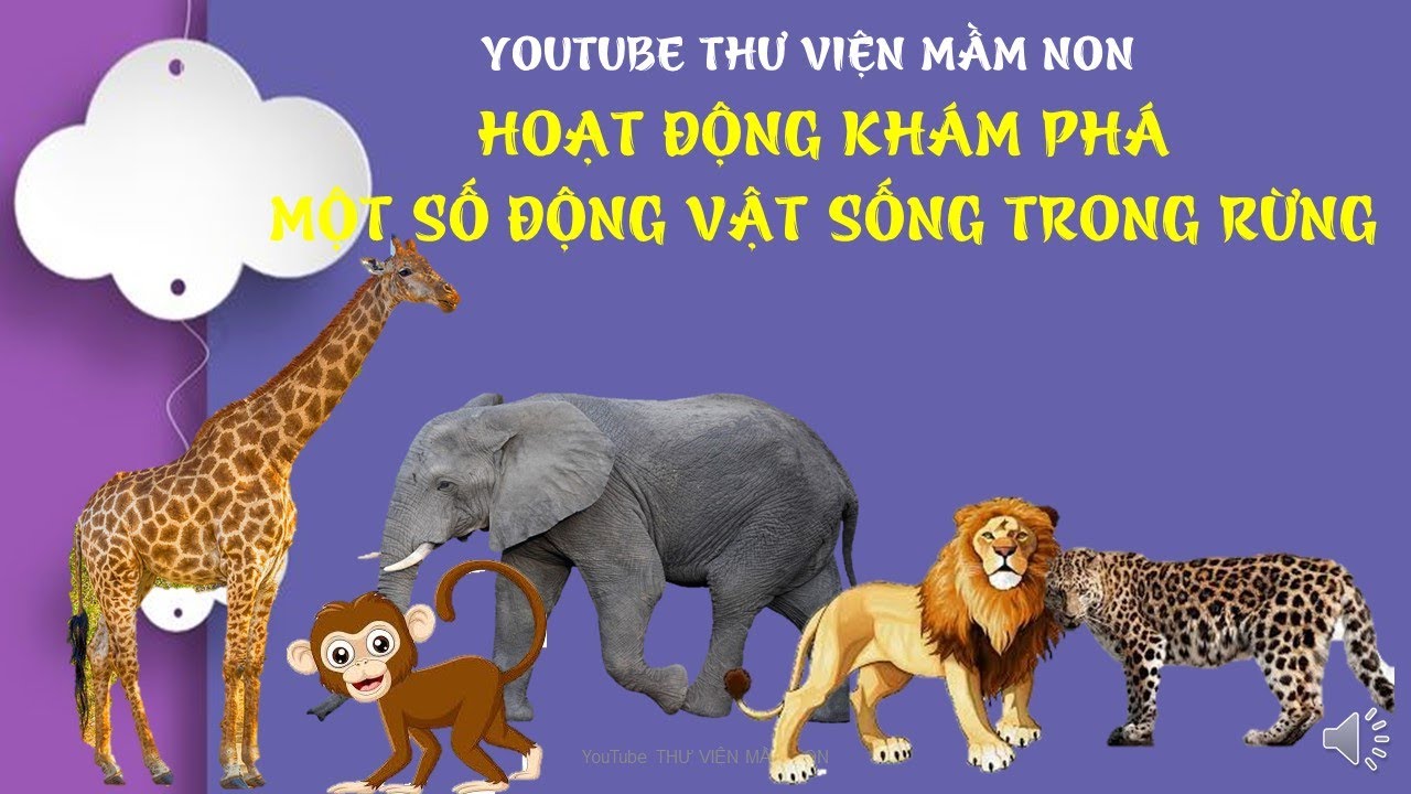 HOẠT ĐỘNG KHÁM PHÁ MỘT SỐ ĐỘNG VẬT SỐNG TRONG RỪNG/THƯ VIỆN MẦM NON/ KHÁM PHÁ