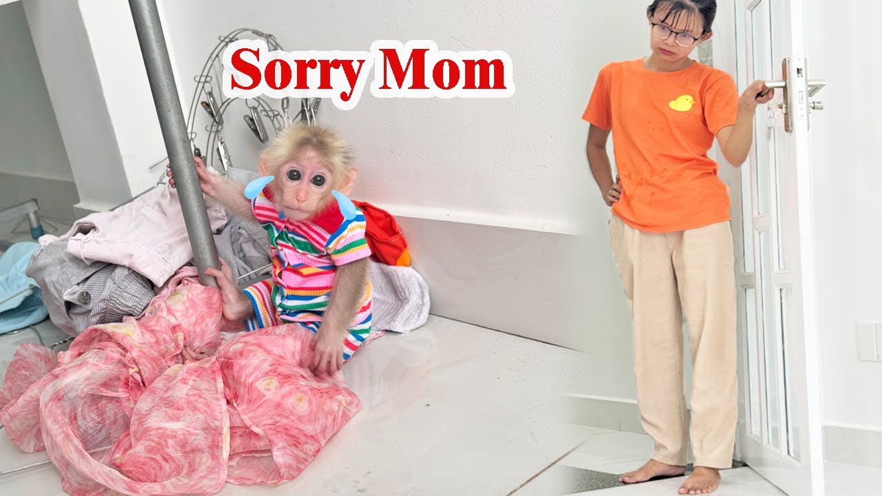 So mischievous: What did Lucky do to make his mother angry