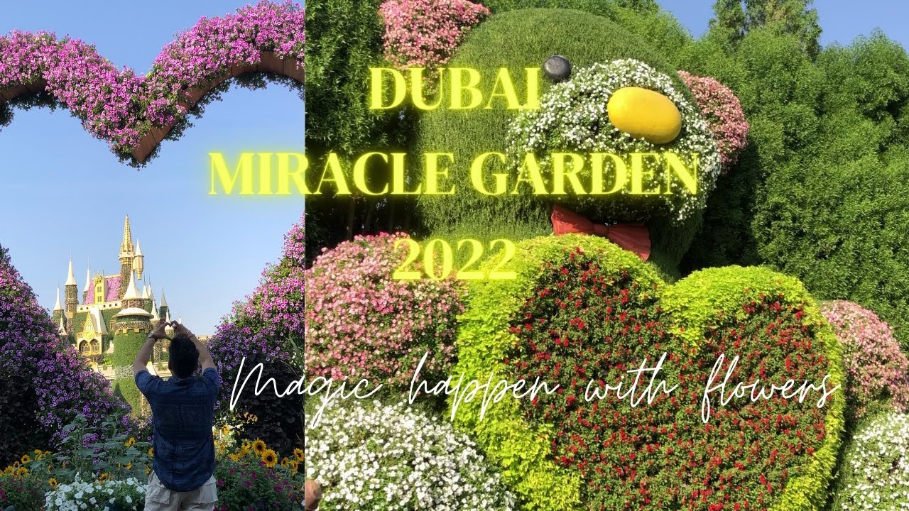 Miracle Garden Dubai  II  The World’s Largest Natural Flower Garden