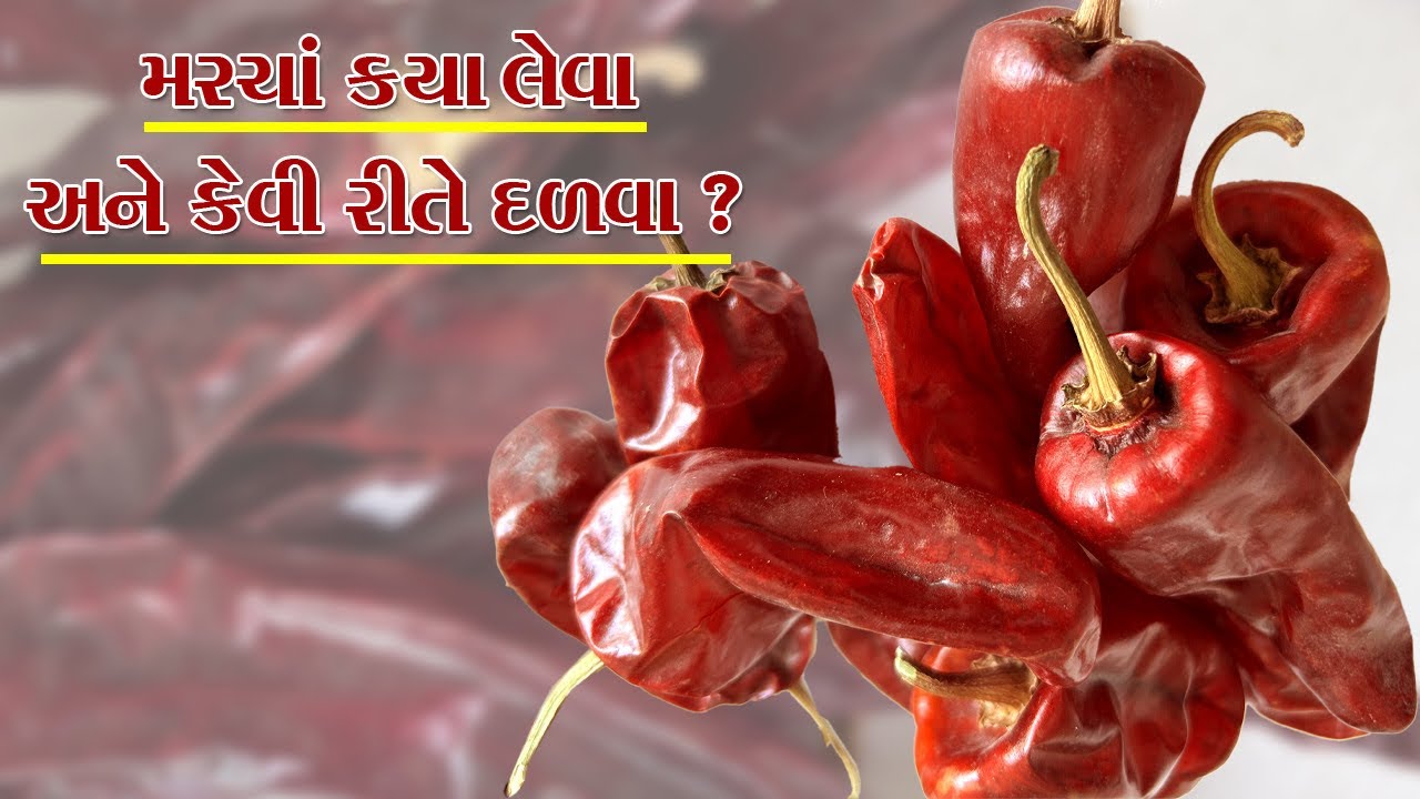 બાર મહિના ના મસાલા બનાવવાની અદ્ભૂત માહિતી એ પણ ભાવતાલ સાથે | Parag Sata Vlog