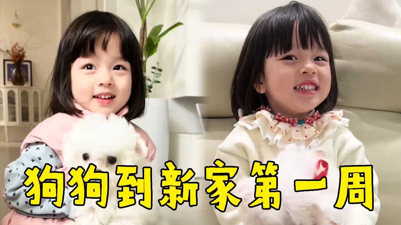 萌娃与幼犬的共同成长周记：当狗狗初到新家，第一个向它伸出小手、分享玩具的，是家里的小小守护神！