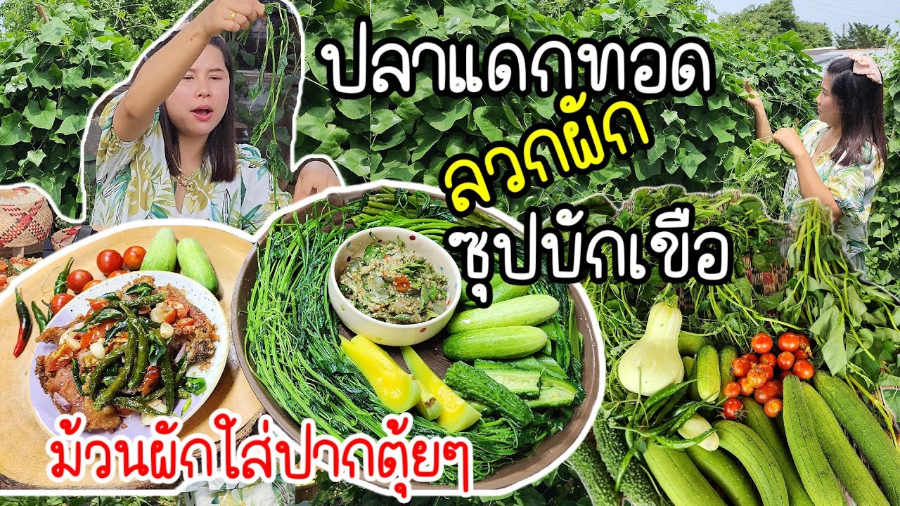 EP.784 ปลาแดกทอดราดสมุนไพรหอม ๆ ลวกผักซุปบักเขือข้าวเหนียว สุดยอดเมนูนี้