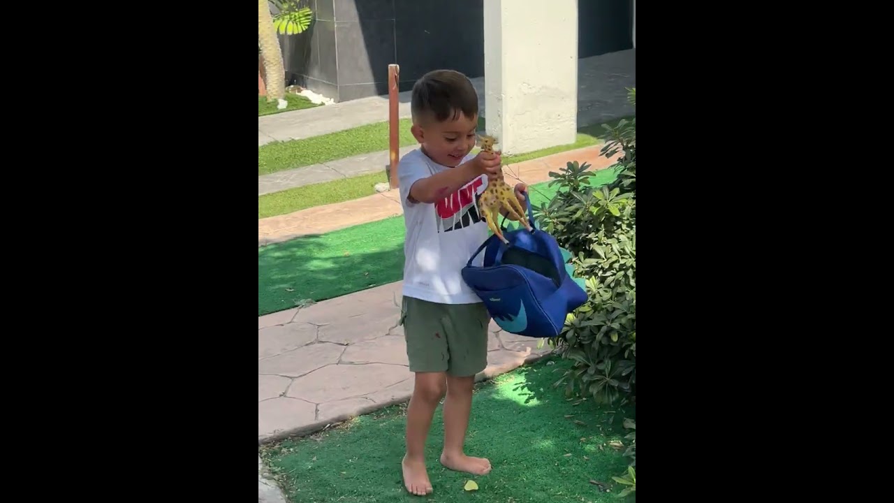 Noah encuentra los animales escondidos 🤭🦨🦝