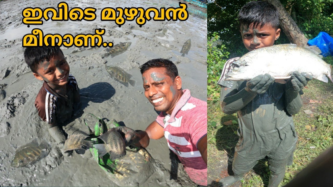 ചെളിയിൽ ഇഴഞ്ഞു ഒരു മീൻ പിടുത്തം