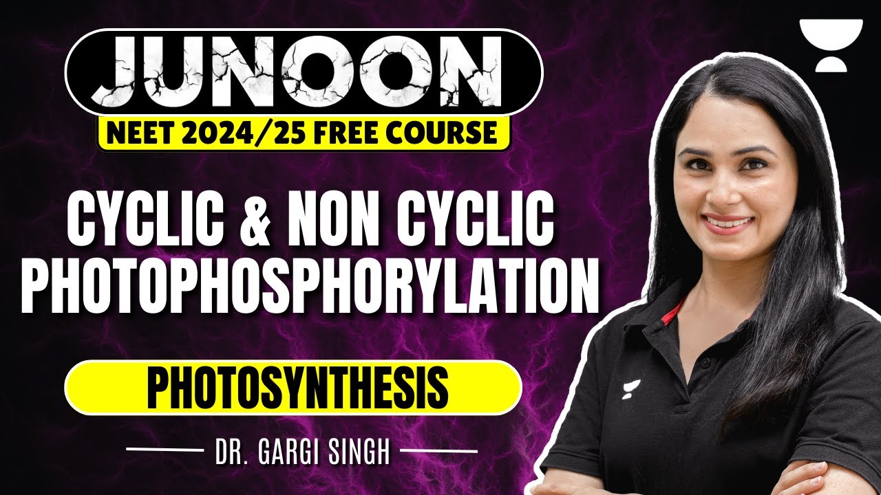 Photosynthesis | Cyclic and Non Cyclic Photophosphorylation | NEET 2024 | Dr Gargi Singh