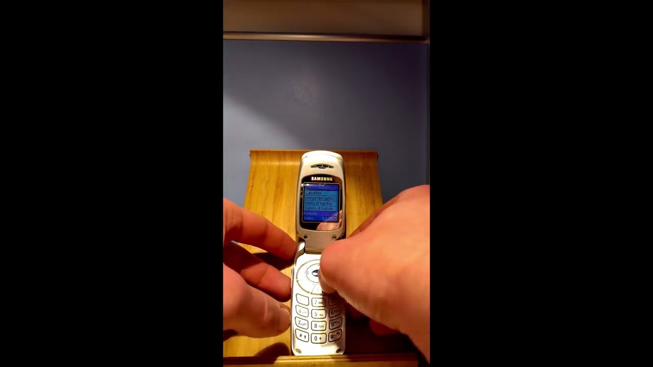 Samsung S300 ringtones