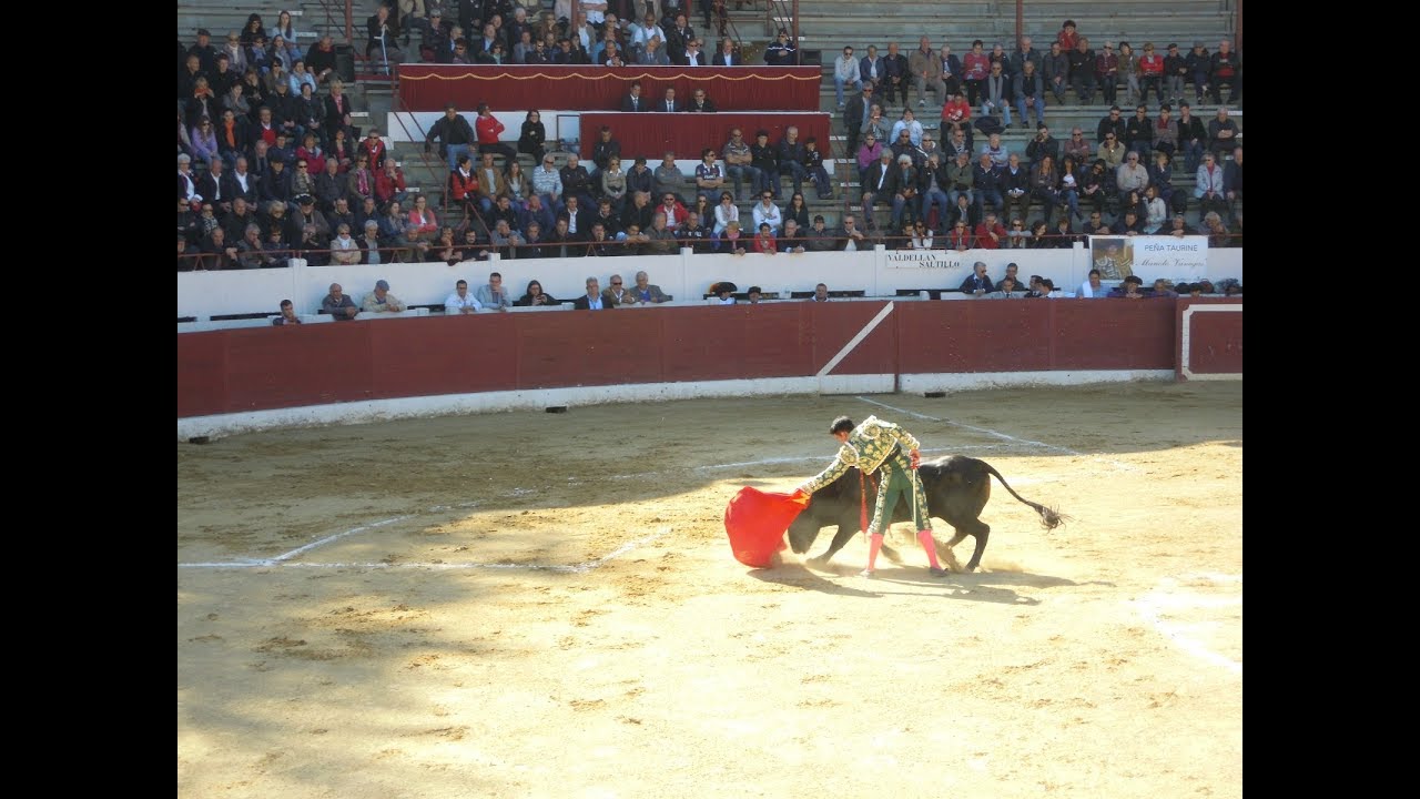 Aire-sur-l'Adour  | South West France  | travel in Landes department , episcopal culture