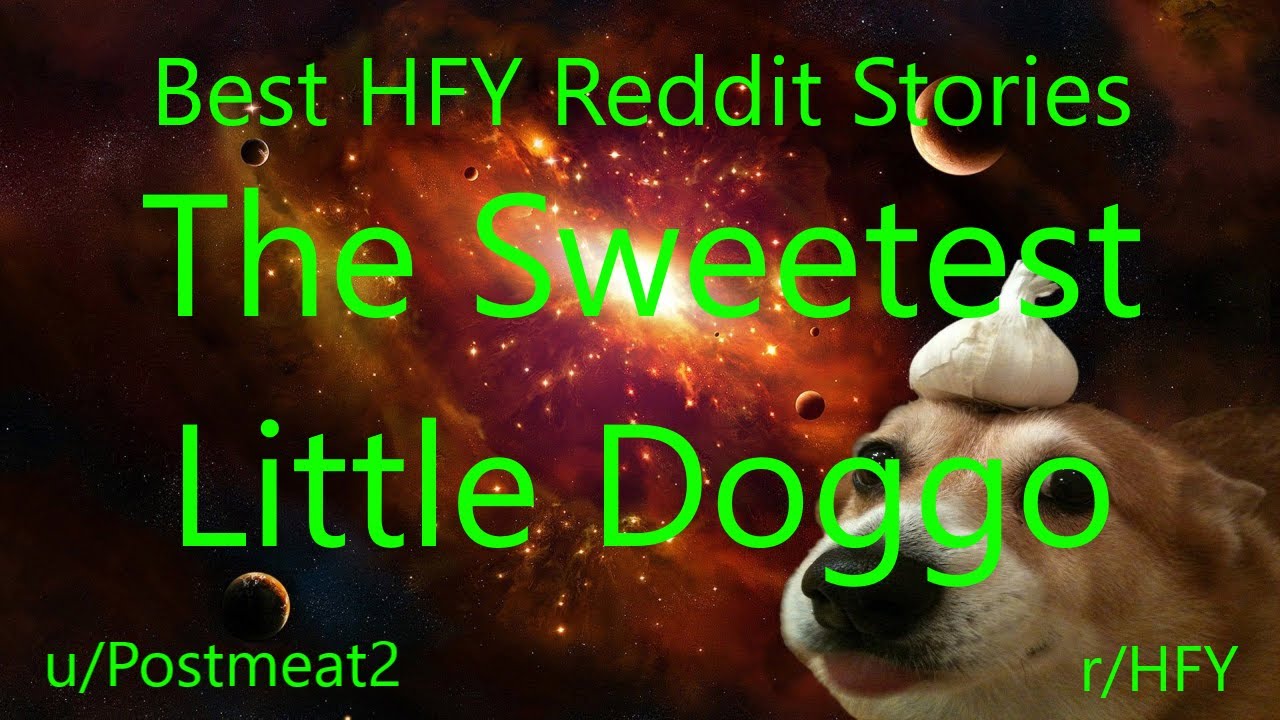 Best HFY Reddit Stories: The Sweetest Little Doggo (r/HFY)