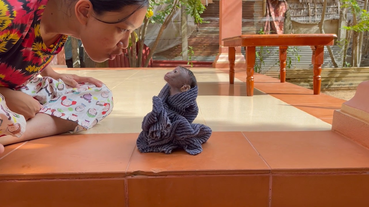 Weepinq BB mnkey tri to refusing her Language with mom 