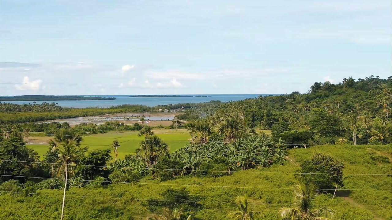 Brgy. Punang, Sofronio Española, Palawan - 9.5 HAS