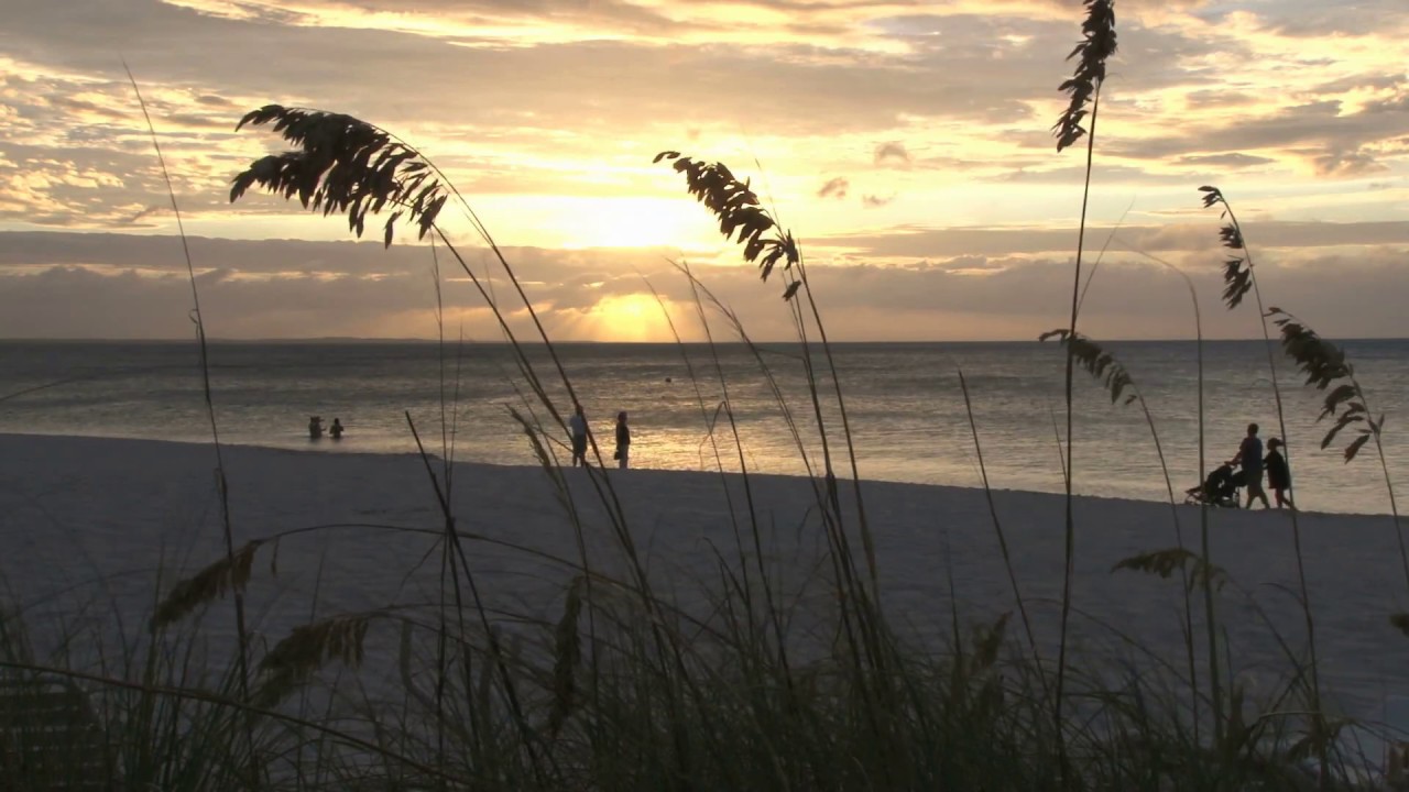 Coast of Carolina, Carroll Brown Music