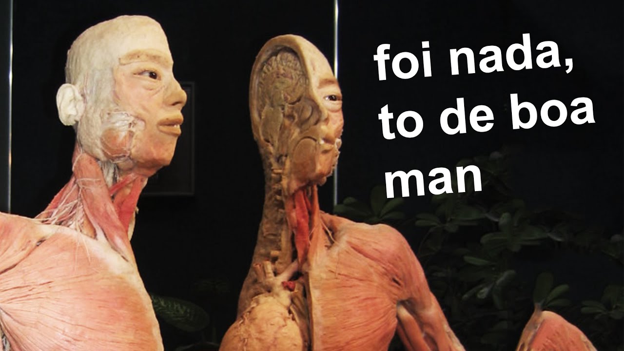 Coisas (e pessoas) CORTADAS NO MEIO