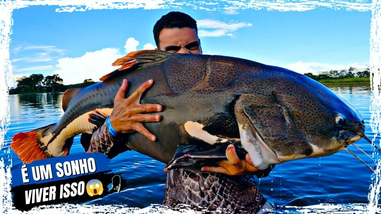 PIRARARA GIGANTE DE 44KG! - NÃO ACREDITO QUE PEGUEI ESSE PEIXE! Clube pescar
