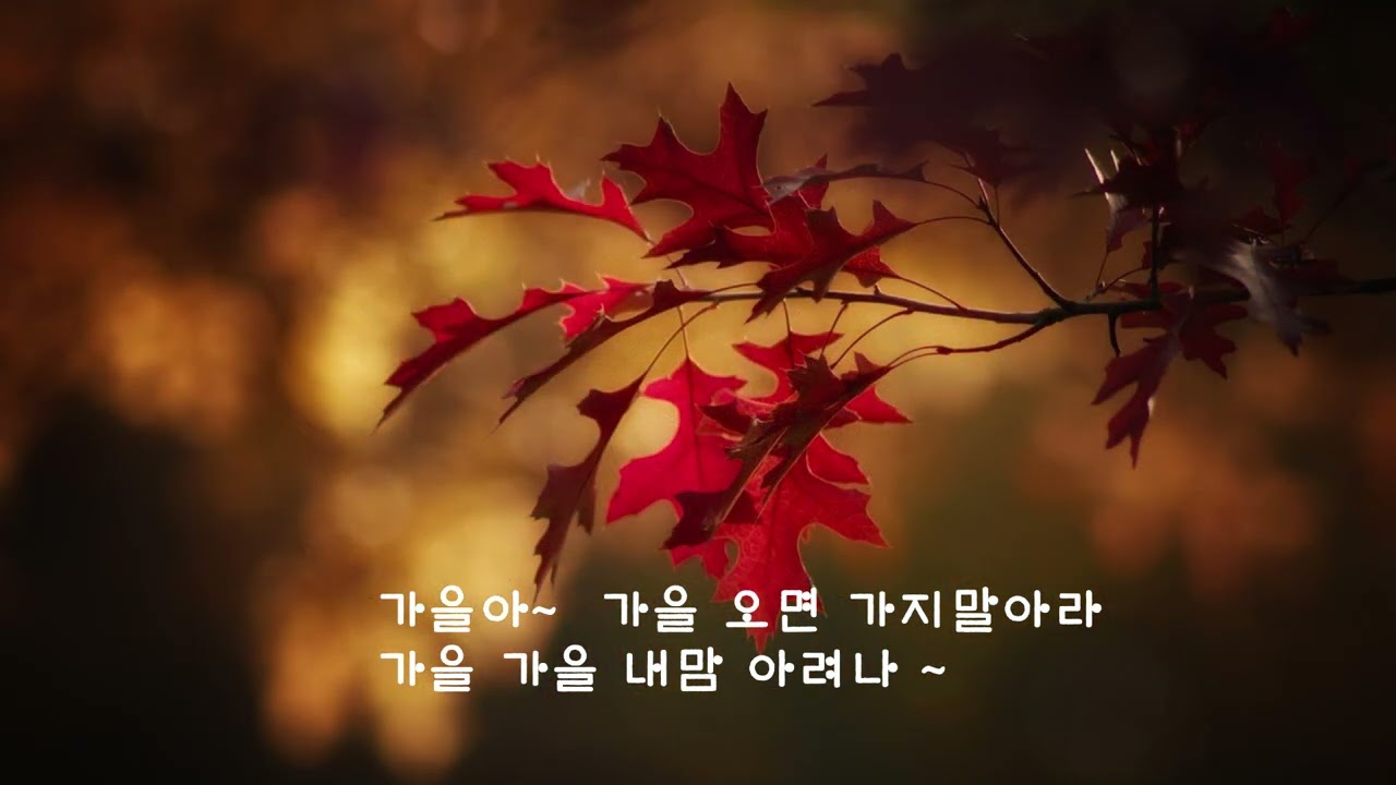 가을사랑 오산영