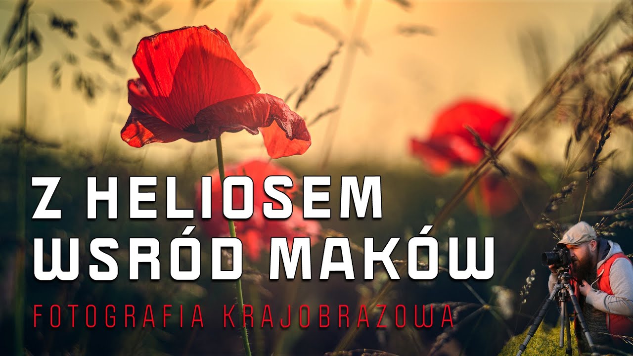 [VLOG #068] JAK FOTOGRAFOWAĆ MAKI | Doświetlanie lampą - fleszem | #krajobraz #fotografia 4K 📷