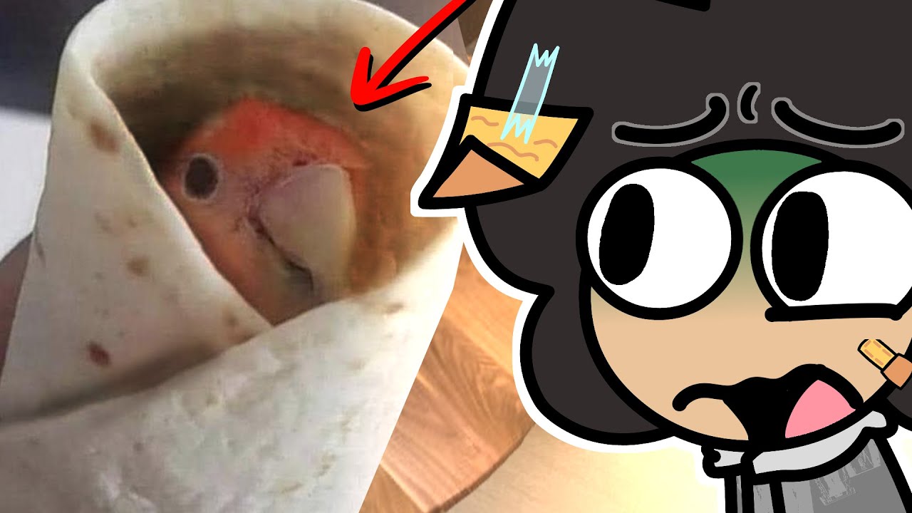 اسوأ اكلات لقيتها على الأنترنت 🙄