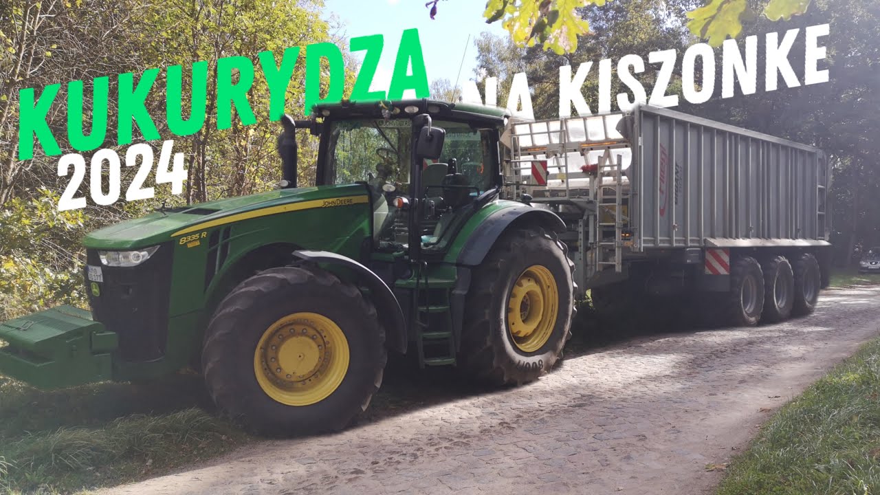 🇵🇱Koszenie 200ha😎 kukurydzy na kiszonkę na wielką skale 😎Zapraszam do oglądania...👊🇵🇱