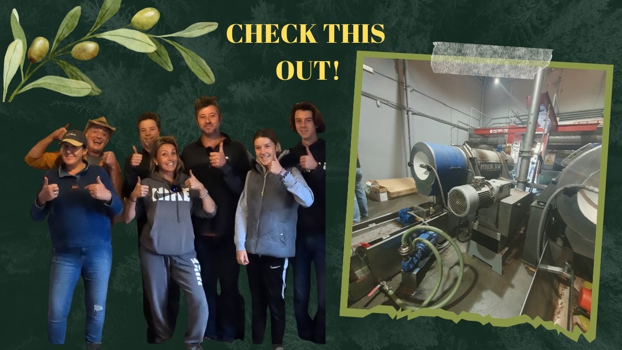 Vanlife to Finca life: Olive harvest to liquid Gold