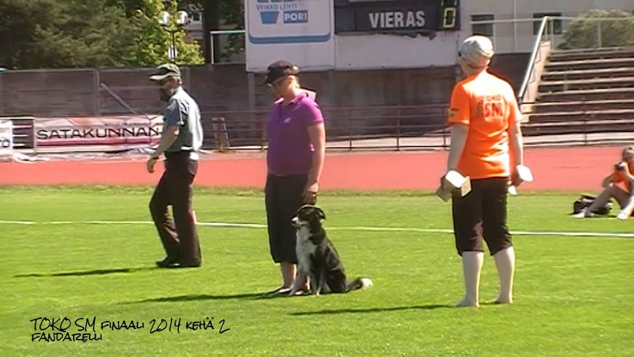 TOKO SM finaali 2014 Tending Outshine 