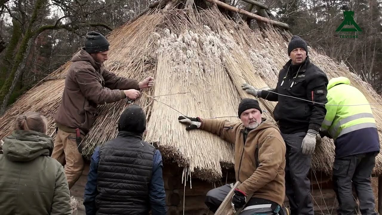 Medinis architektūros paveldas: stogų dangos