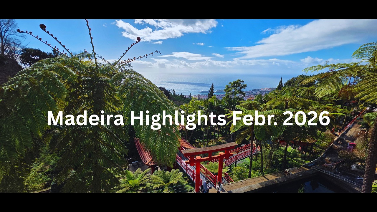 Madeira Highlights im Februar 2026
