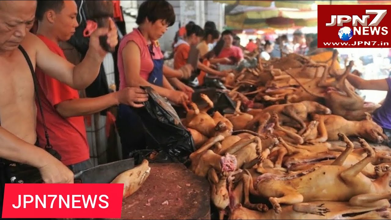 ✅चीन की इस सच्चाई को आप नहीं जानते | TRUTH OF CHINA