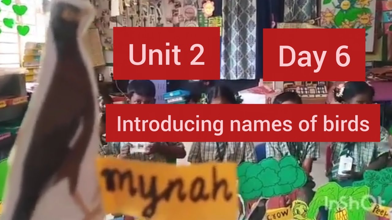 Term 3 Unit 2 Day 6 Introducing names of birds English Ennum Ezhuthum