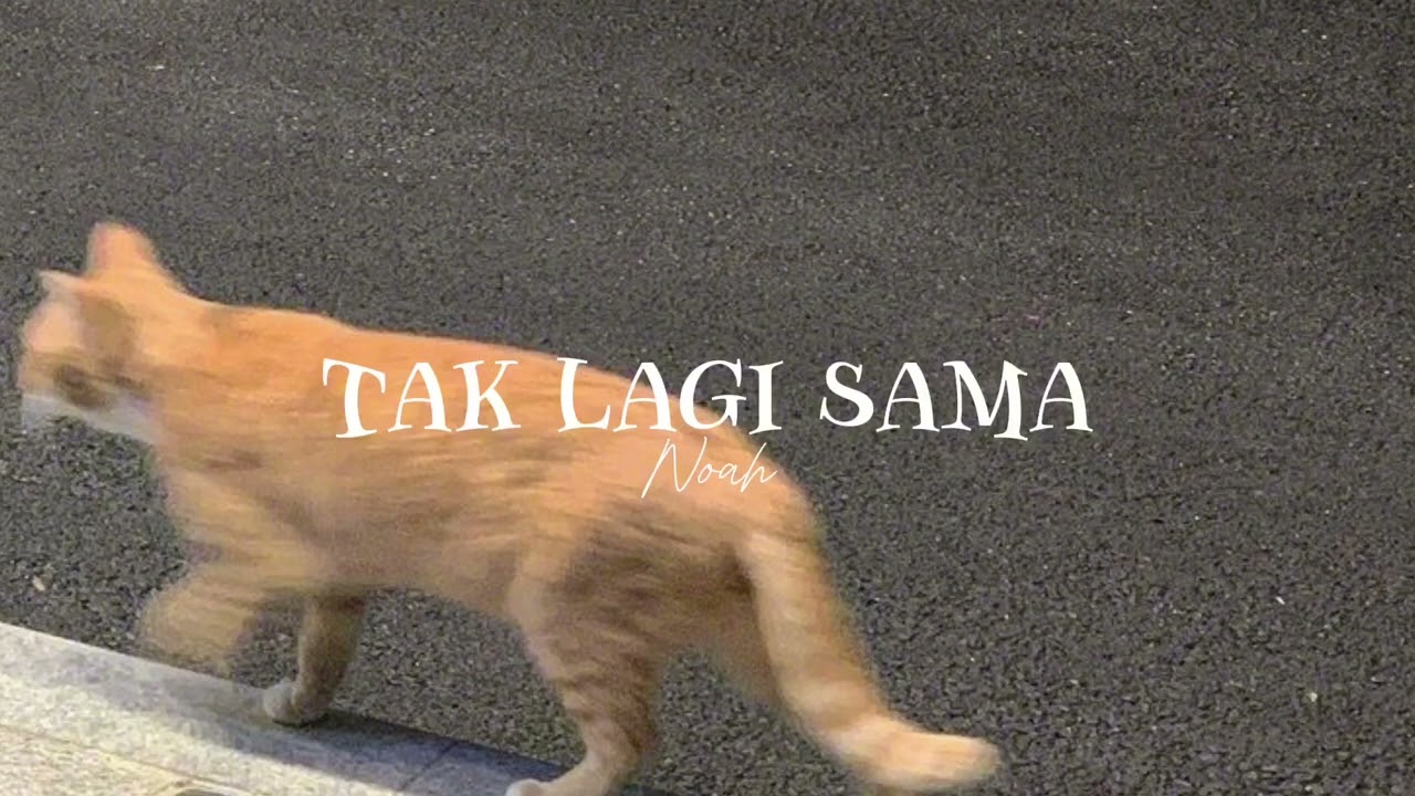 tak lagi sama - noah (slowed version)
