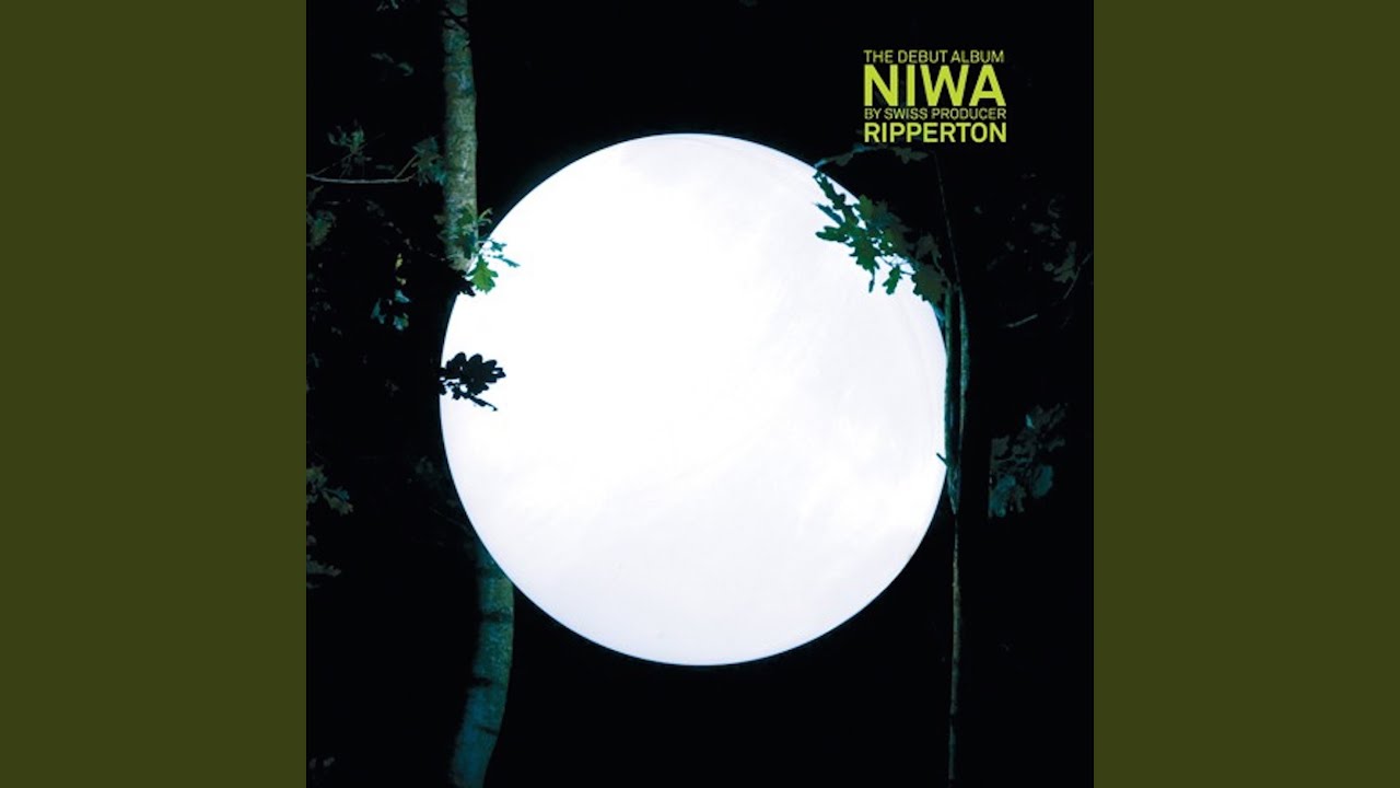 Des Promesses De Couleurs Original Mix