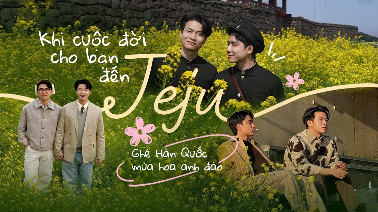 Khi cuộc đời cho bạn đến Jeju hái quýt | Ghé Hàn Quốc mùa hoa anh đào