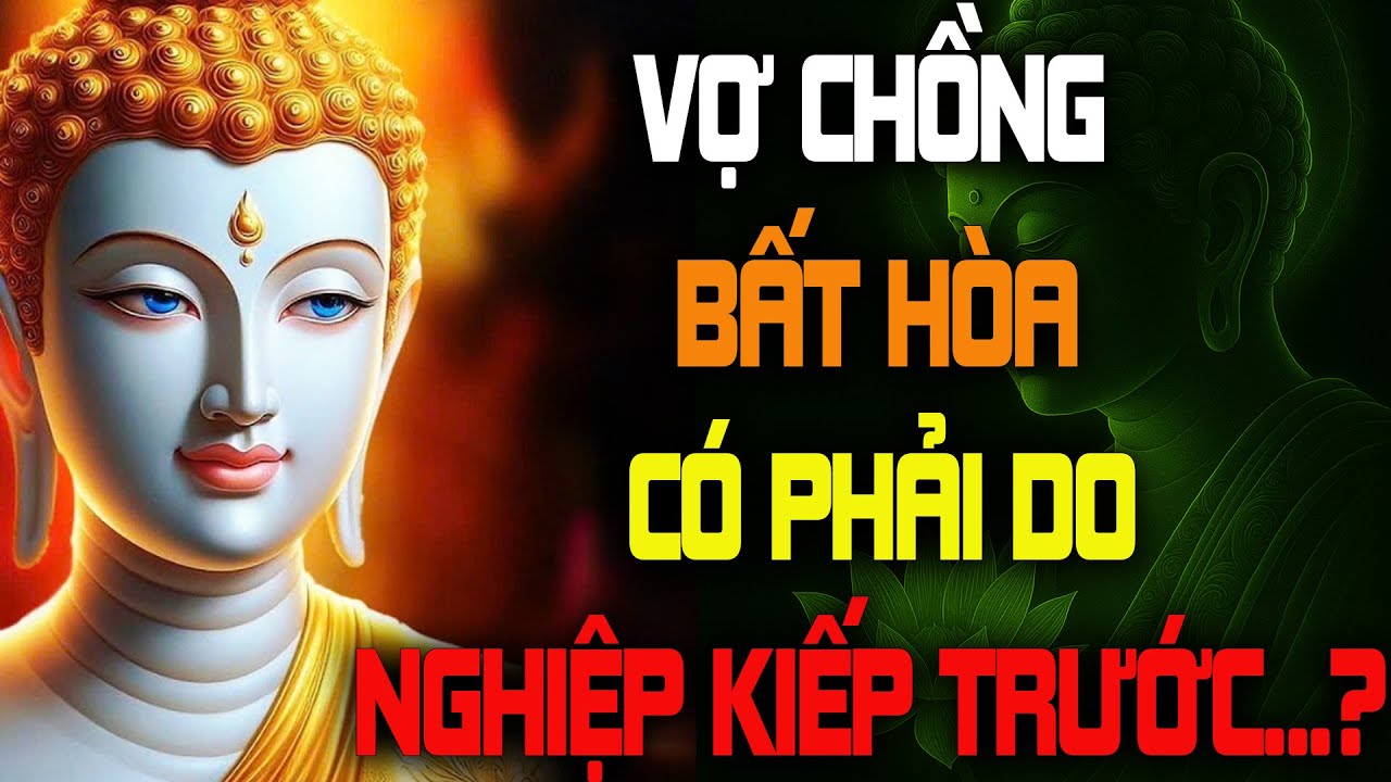 Vợ Chồng Lục Đục Bất Hòa Có Phải Do Nghiệp Chưa Trả? Bước Chân Từ Bi