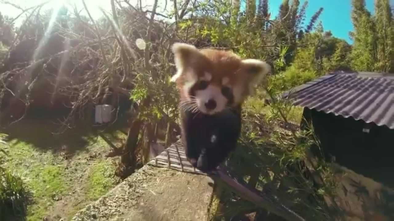 A local's guide to wildlife attractions in Waikato, NZ