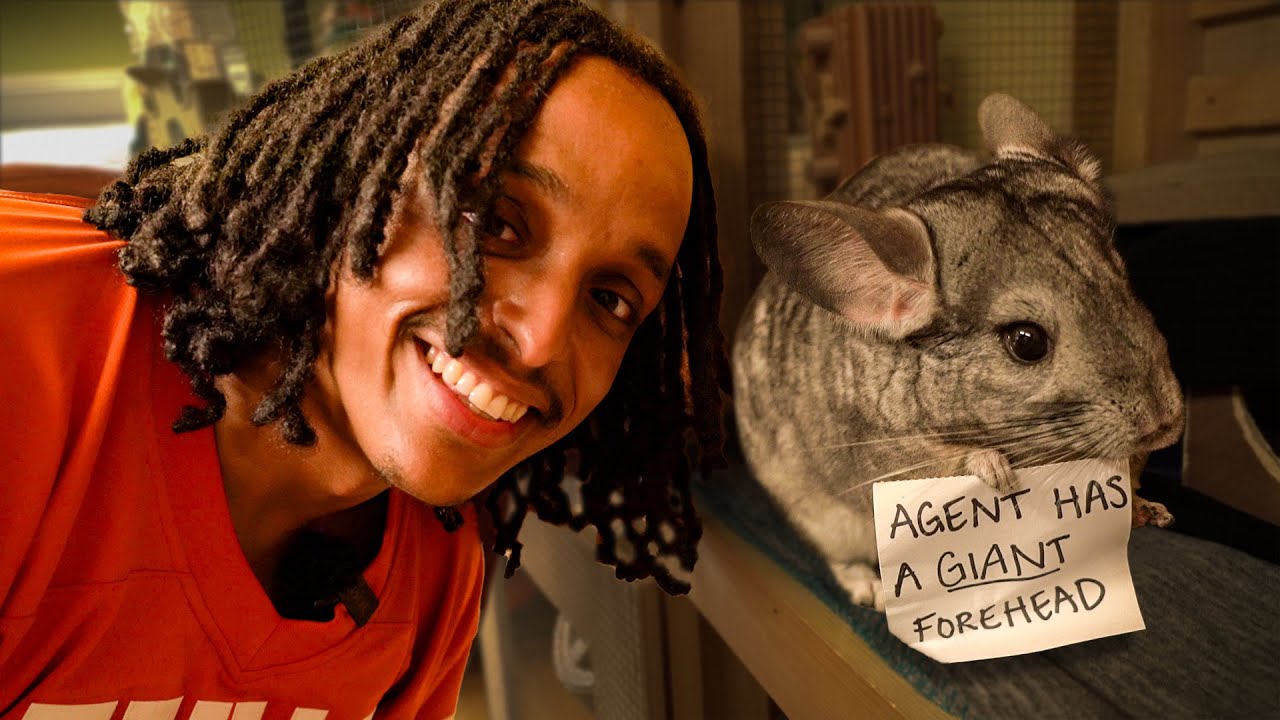 Agent00 Got Insulted By A Rodent At Our Animal Sanctuary