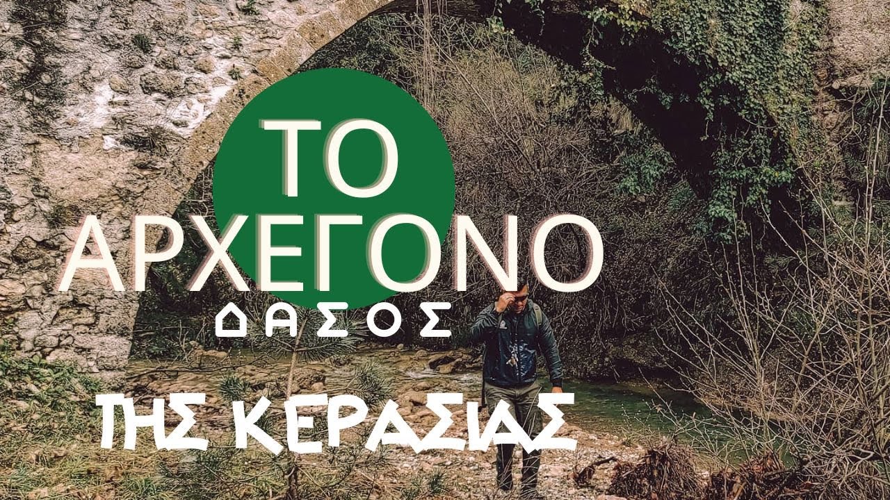 Το ΑΡΧΕΓΟΝΟ δάσος της Κερασιάς #greece #strata #evoia