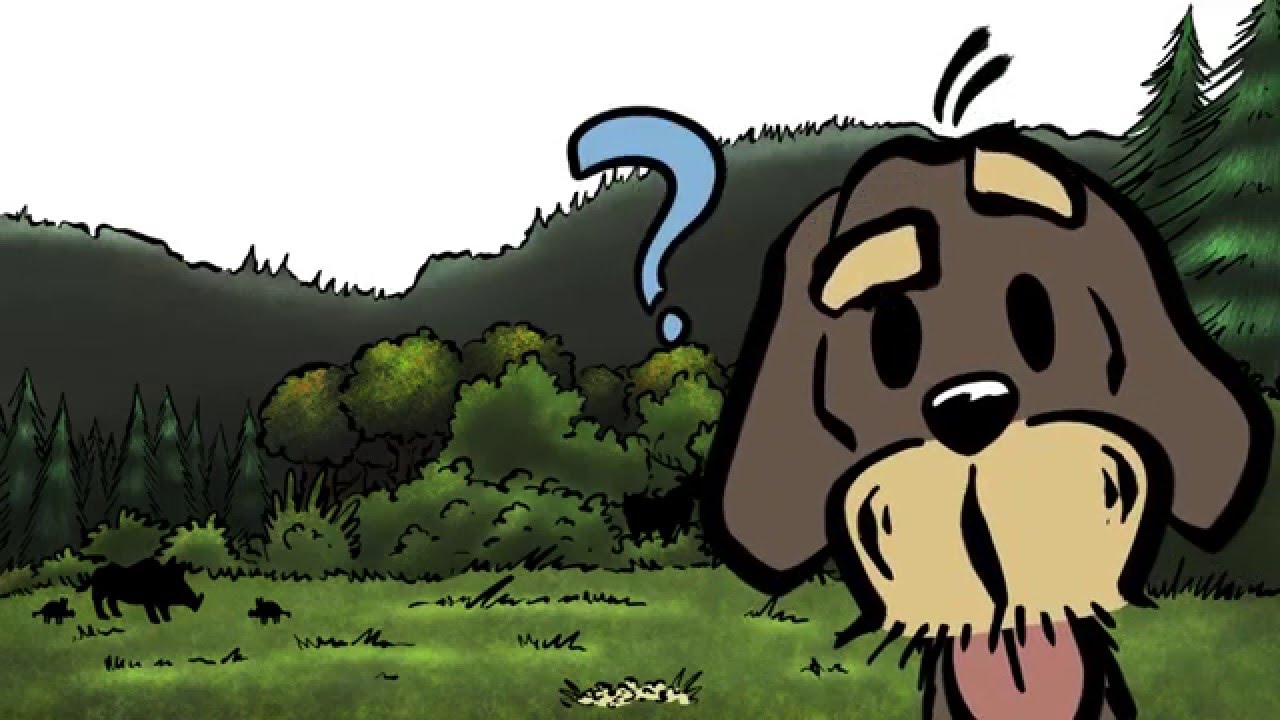 Was ist Jagd und was machen J&auml;ger?