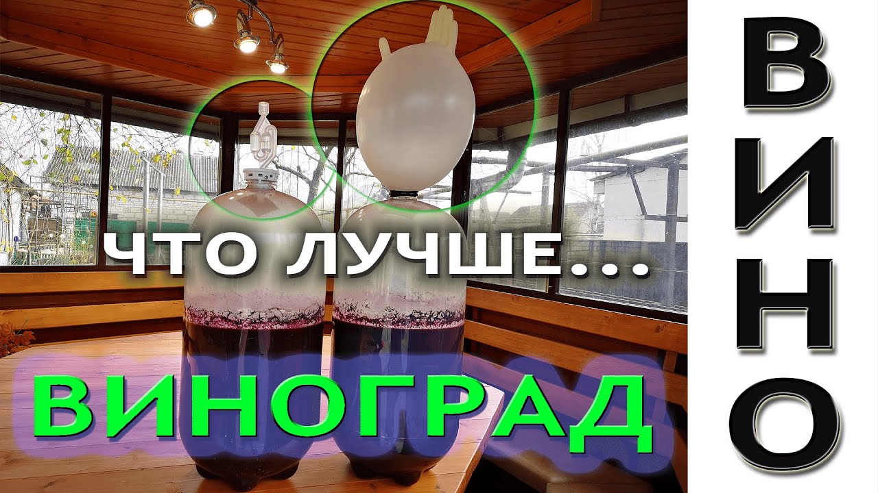 Домашнее вино из винограда изабелла! Простой рецепт приготовления вина дома!