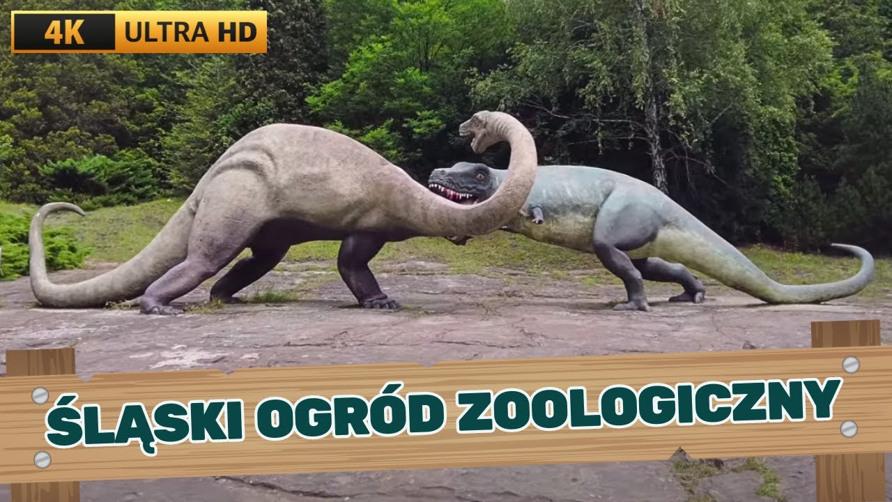 ZOO Śląski Ogród Zoologiczny w Chorzowie