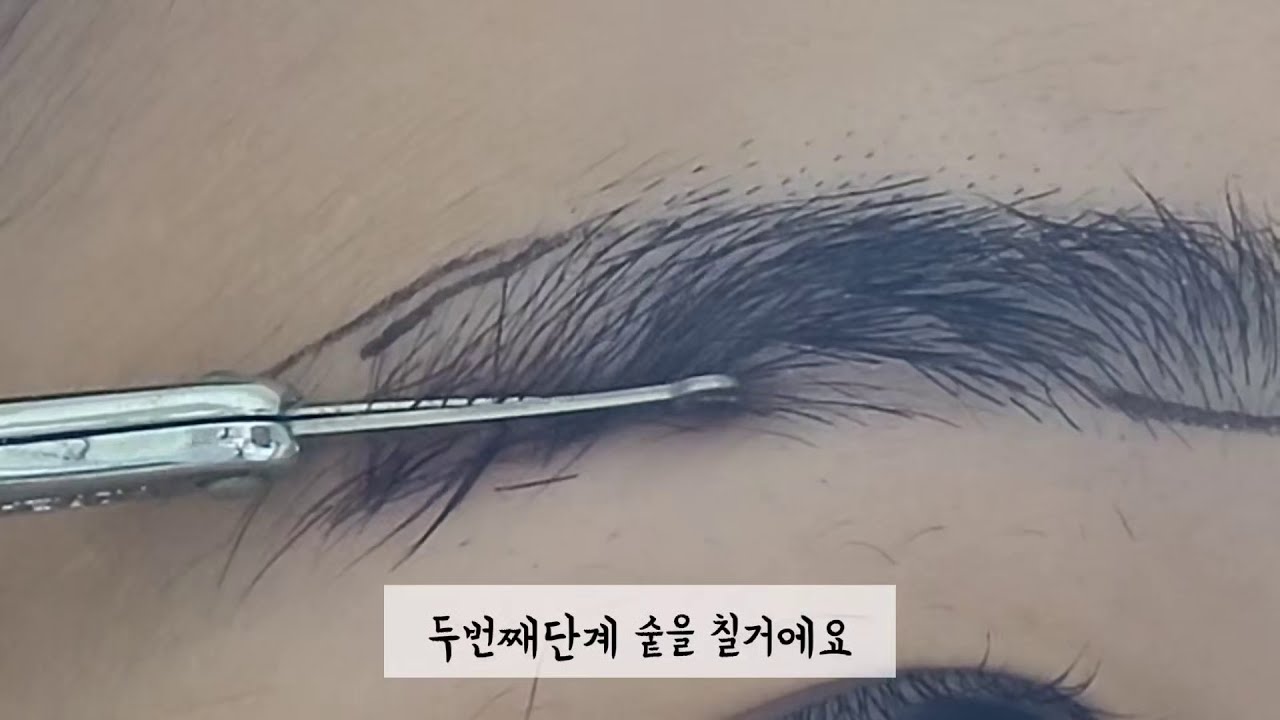 2탄)눈썹숱치는법(리얼함)sourcil