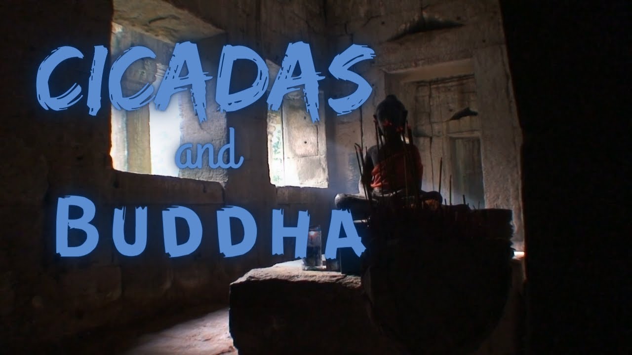 Cicadas and Buddha | Cicadas Series | Ambient Sound | What Else Is There?