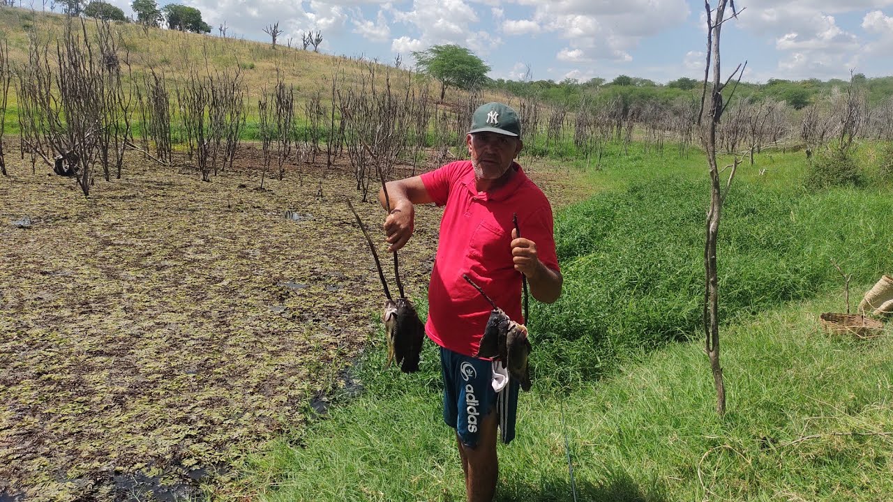 PESCARIA DE LINHA NA BARRAGEM PEGAMOS BASTANTE PEIXE 
